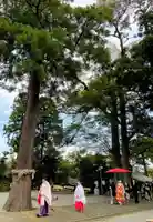 比々多神社の結婚式