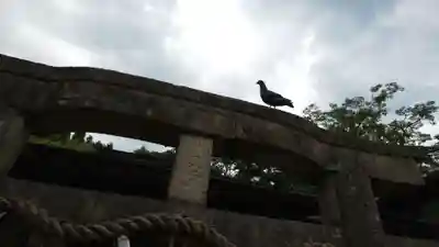 嚴島神社 (京都御苑)(京都府)