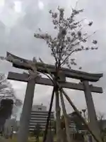 福井神社(福井県)