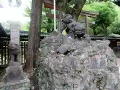 牛嶋神社の狛犬