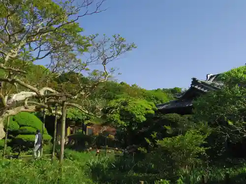 極楽寺（霊鷲山感應院極楽律寺）の自然