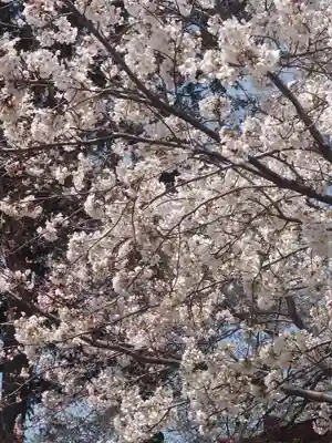 宇都母知神社(神奈川県)