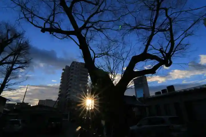阿邪訶根神社の自然