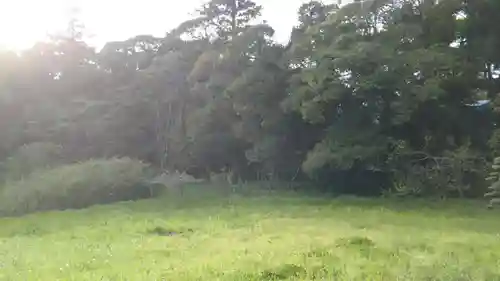 熊野神社の自然