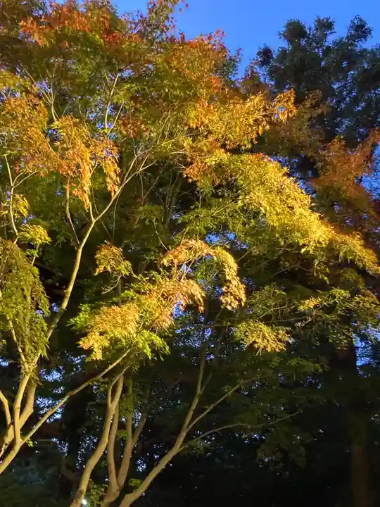 東漸寺(千葉県)