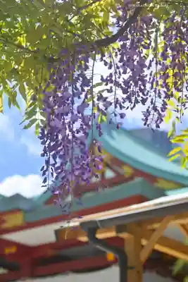 日枝神社(東京都)
