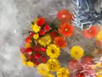 札幌諏訪神社の手水舎