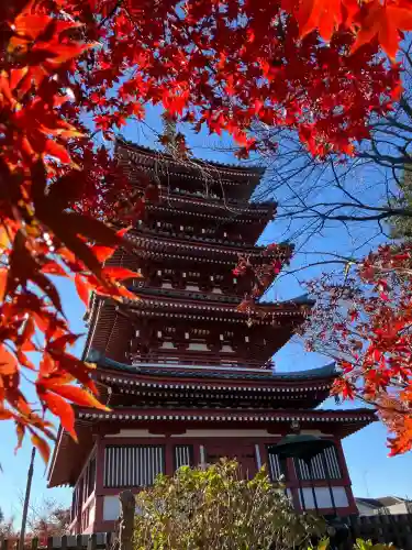 本土寺(千葉県)