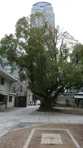 難波神社の自然