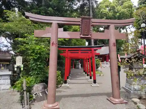 亀ケ池八幡宮の鳥居