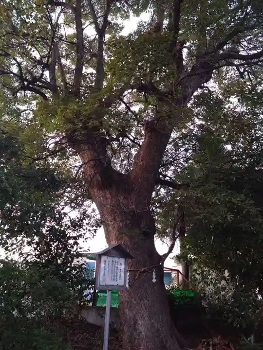 八幡宮(蓼原)(静岡県)