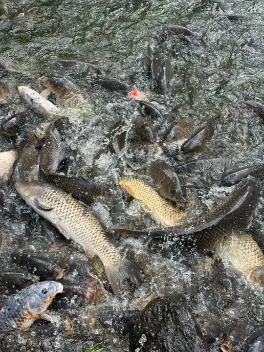 宗像大社(福岡県)