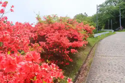 三春大神宮の自然