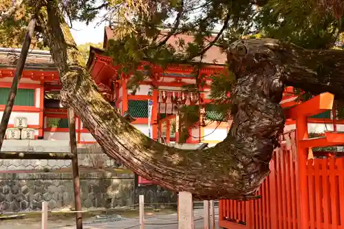 香椎宮(福岡県)