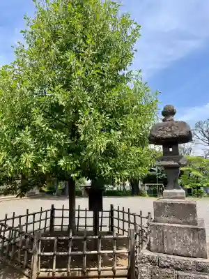 諏訪神社(東京都)