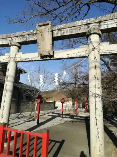 賀茂別雷神社の鳥居