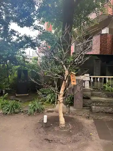 小野照崎神社(東京都)