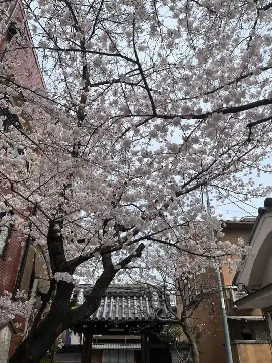 墨染寺(桜寺)の自然