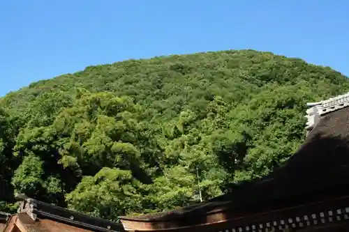 出雲大神宮の自然