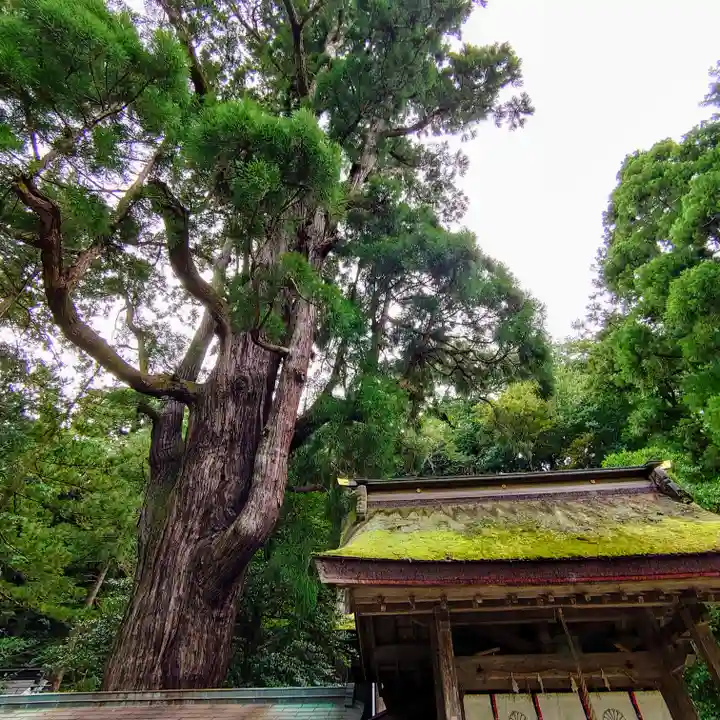 若狭姫神社(若狭彦神社下社)(福井県)