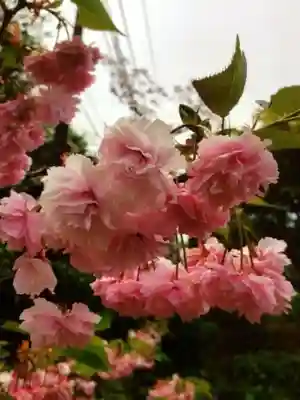福蔵院(東京都)
