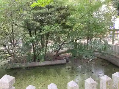泊神社(兵庫県)