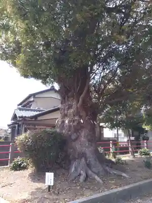 神明宮(愛知県)