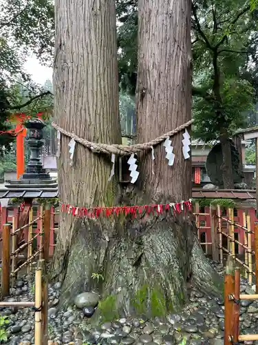 櫛引八幡宮の自然