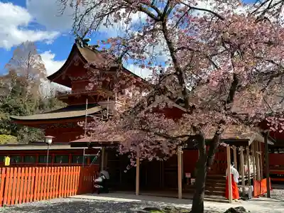 富士山本宮浅間大社(静岡県)