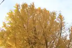 佐野原神社の自然