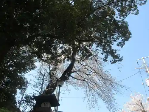 池上本門寺(東京都)