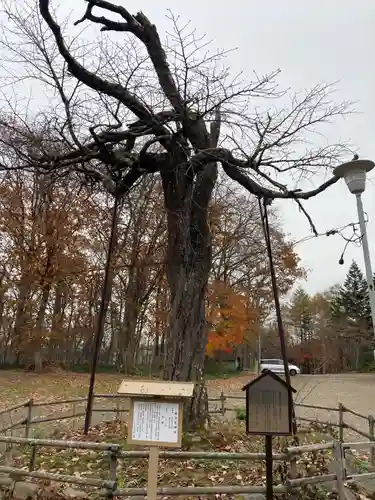弟子屈神社(北海道)