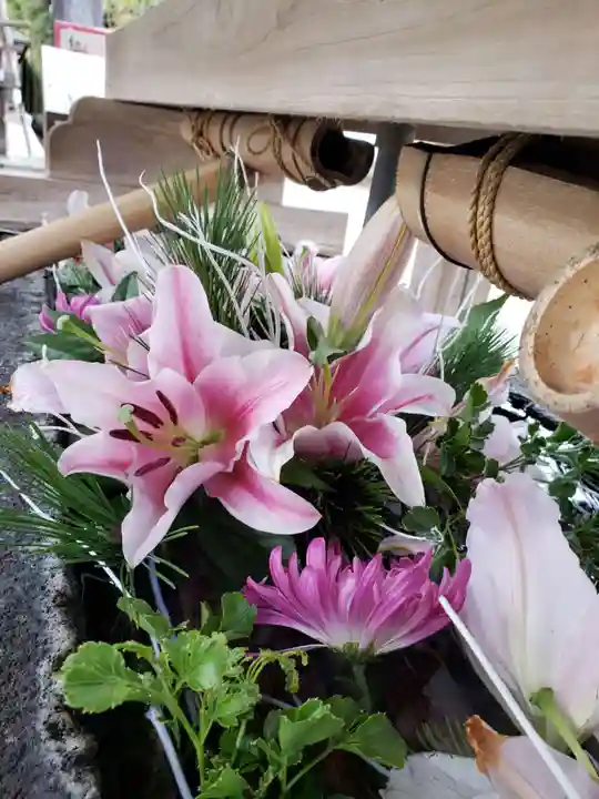 鳩森八幡神社の手水舎