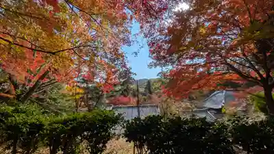 十輪寺(京都府)