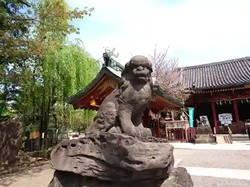 浅草神社の狛犬