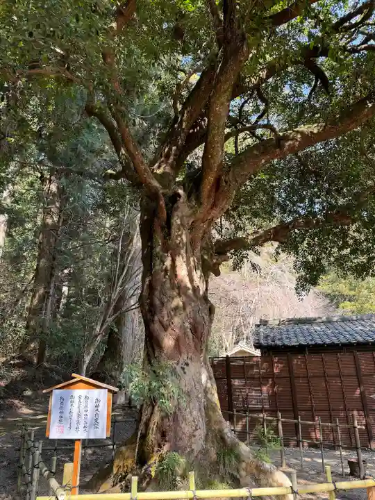 小國神社(静岡県)