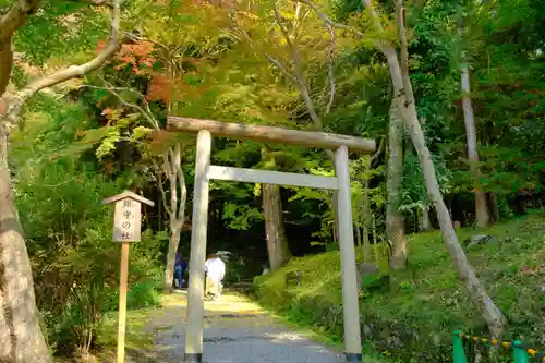 出雲大神宮の鳥居