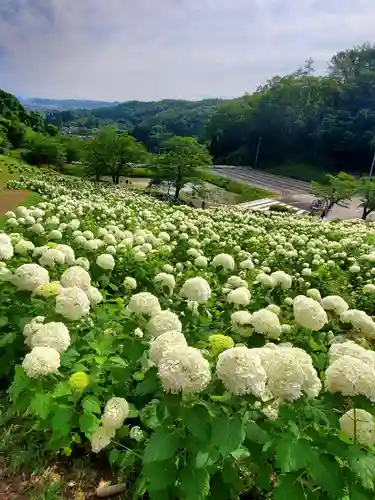 陽林寺(福島県)
