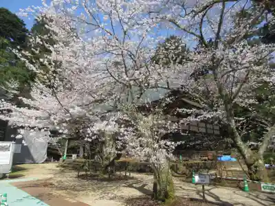 松尾寺(京都府)