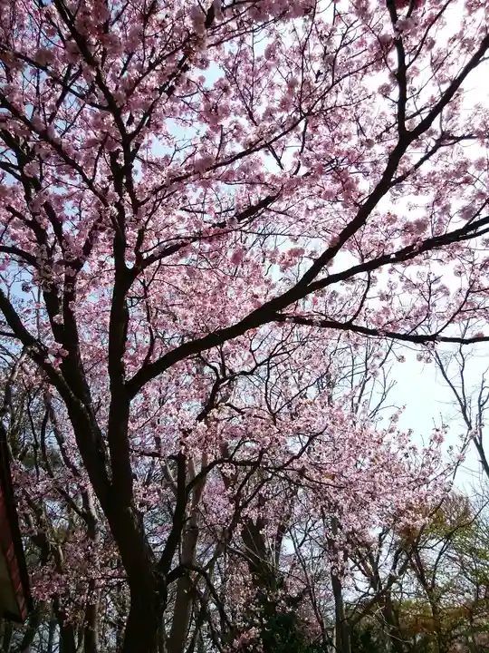 錦山天満宮の自然