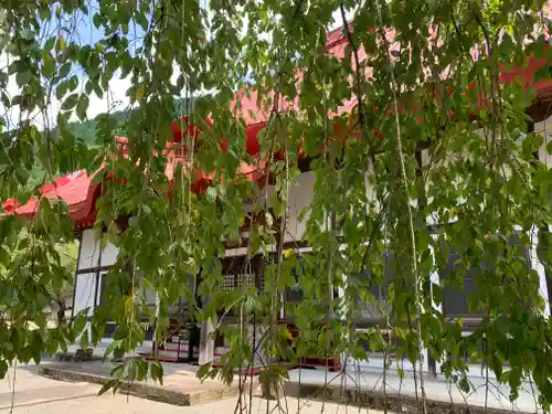 正福寺の本殿・本堂