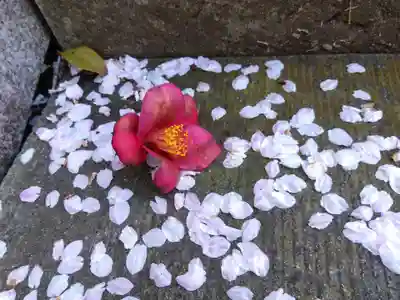  湊八幡神社(福井県)