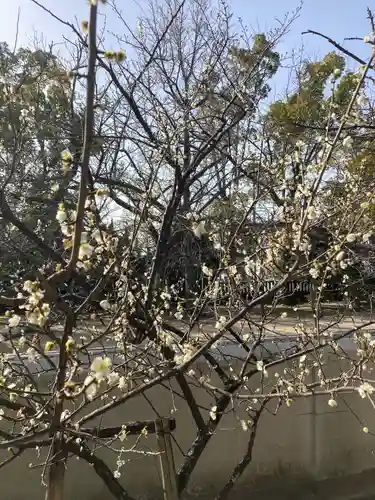 三津厳島神社の自然