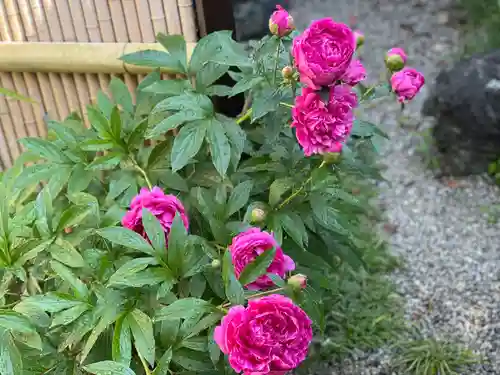 梅香寺(三重県)