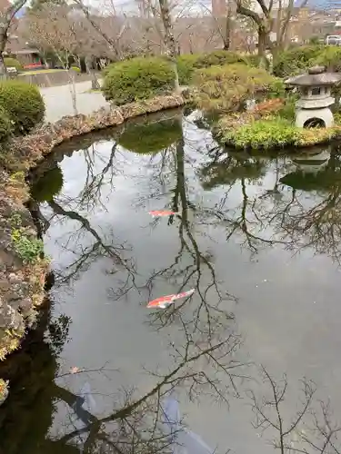 富士山本宮浅間大社(静岡県)
