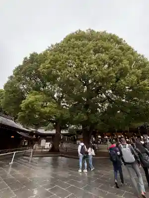 明治神宮(東京都)