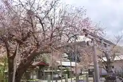 春日神社の建物その他