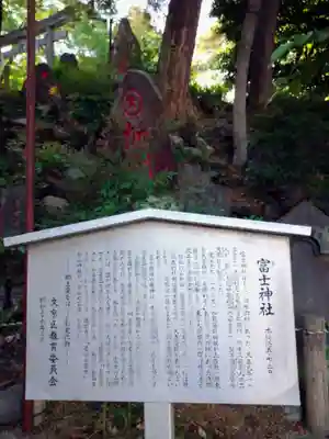 駒込富士神社(東京都)