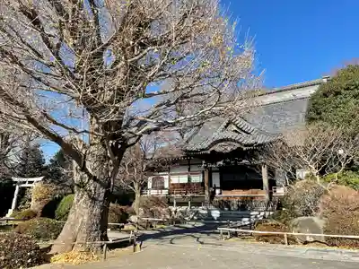 高円寺の本殿・本堂