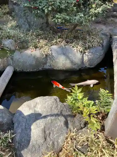 素盞雄神社(東京都)